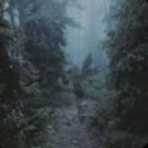 Meet your Posher, Eliza